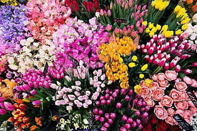 《铁尾传奇2》首发预告片呈现残酷血腥战斗