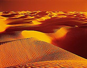 Unity 6宣布10月17日在全球发布 历史“最佳”版本